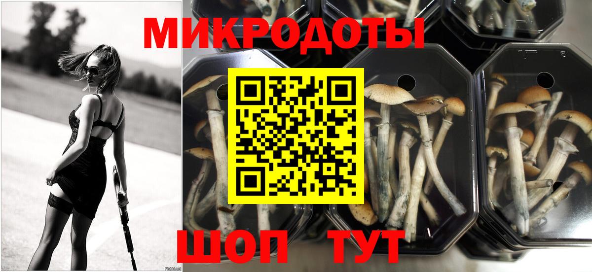 Псилоцибиновые грибы Cubensis  Вход с VPN  Ялта 